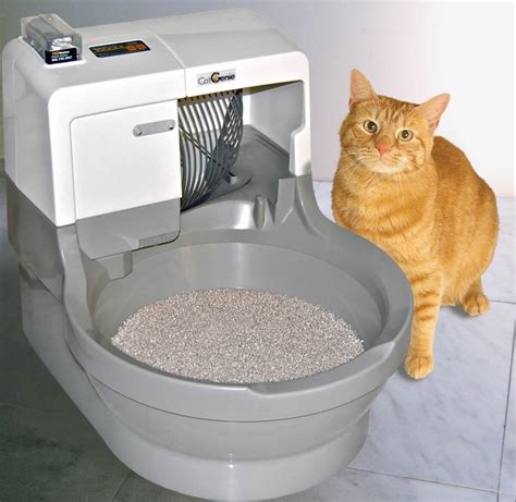 how to deep clean litter box